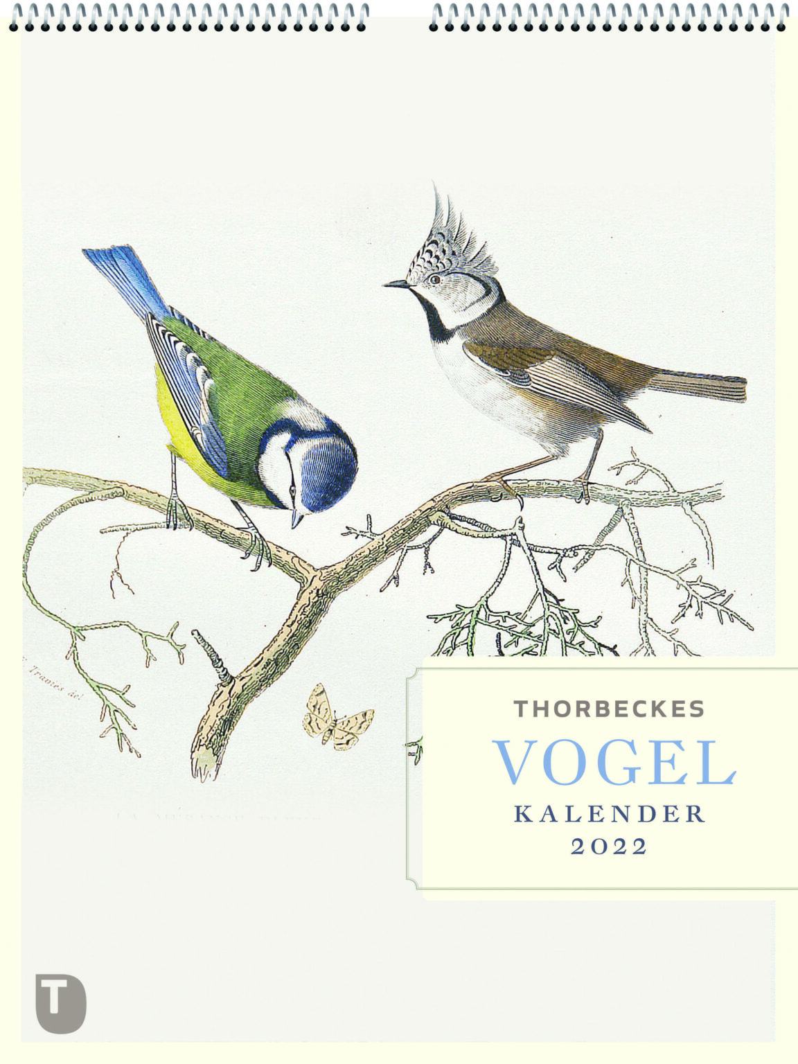 Thorbeckes VogelKalender 2022 Schreibfeder.de